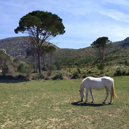 Lliris Sol Appartement *
